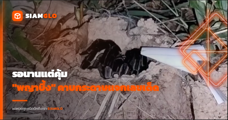 รอนานแต่คุ้ม! "พญาบึ้ง" คาบกระดาษแจกแนวทางเลขเด็ด