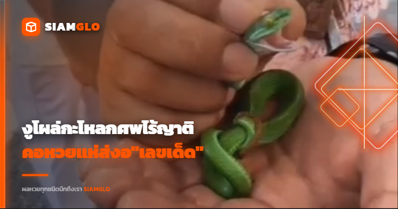 ขนลุกซู่! งูโผล่กะโหลกศพไร้ญาติ แจกแนวทาง "เลขเด็ด"