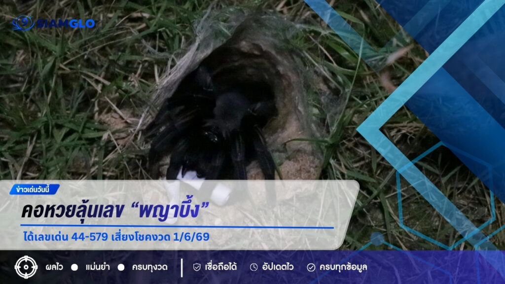 ฝนตกก็ไม่หวั่น! คอหวยลุ้นเลข “พญาบึ้ง” อ่างทอง ได้เลขเด่น 44-579 เสี่ยงโชคงวด 1/6/69