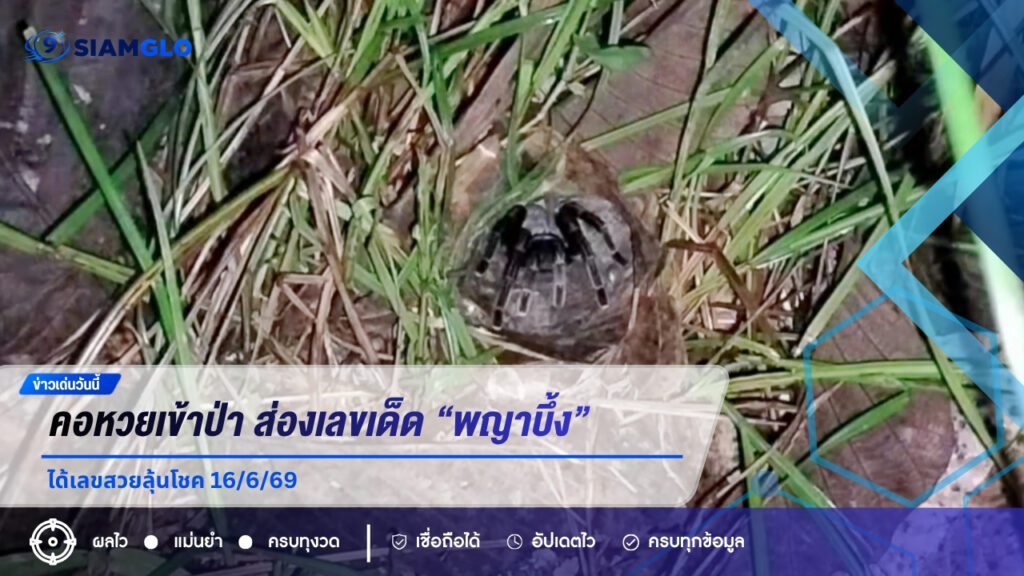 คอหวยเข้าป่ารอ 2 ชั่วโมงครึ่ง ส่องเลขเด็ด “พญาบึ้ง” ปราจีนบุรี ได้เลขสวยลุ้นโชค 16/6/69