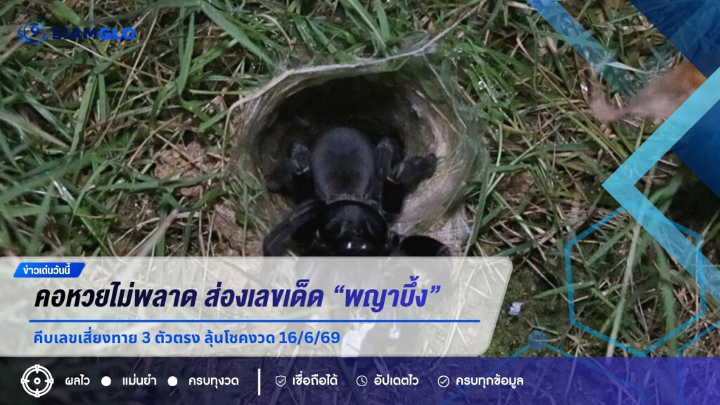 คอหวยไม่พลาด ส่องเลขเด็ด “พญาบึ้ง” อ่างทอง คีบเลขเสี่ยงทาย 3 ตัวตรง ลุ้นโชคงวด 16/6/69