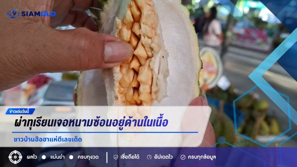 แปลกแต่จริง! ผ่าทุเรียนเจอหนามซ้อนอยู่ด้านในเนื้อ ชาวบ้านฮือฮาแห่ตีเลขเด็ด