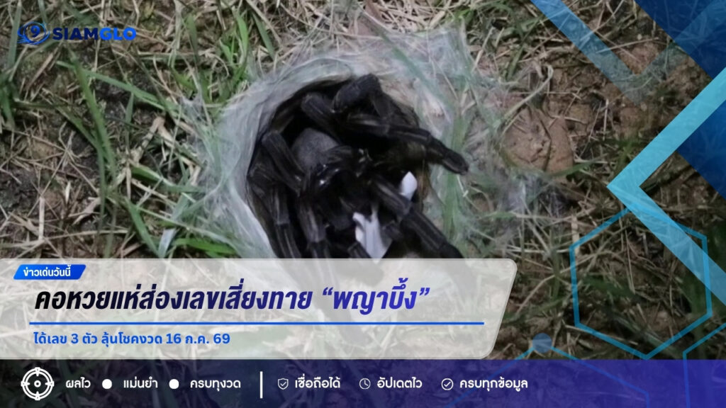 คอหวยแห่ส่องเลขเสี่ยงทาย “พญาบึ้ง” จ.อ่างทอง ได้เลข 3 ตัว ลุ้นโชคงวด 16 ก.ค. 69