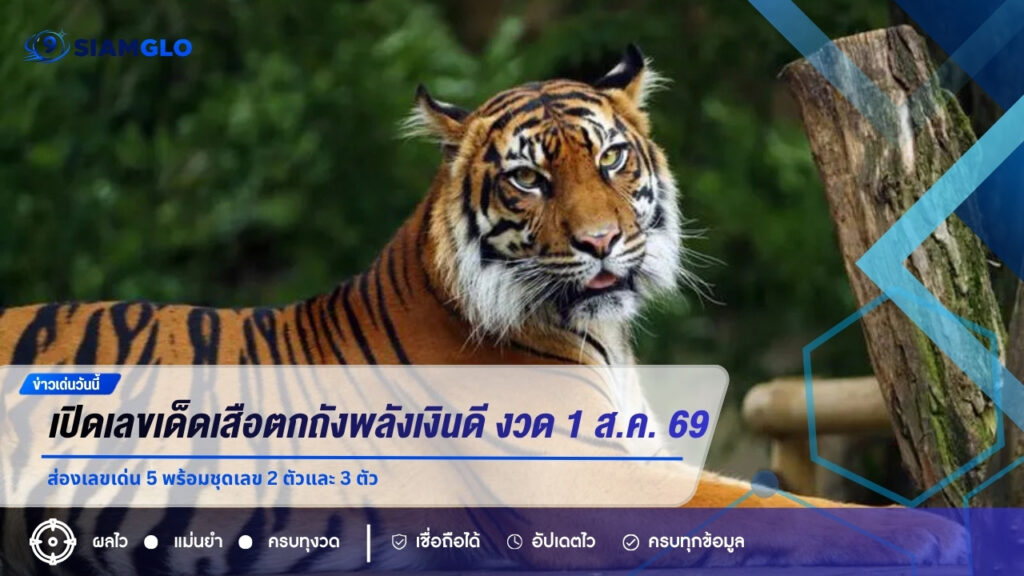 เปิดเลขเด็ดเสือตกถังพลังเงินดี งวด 1 ส.ค. 69 ส่องเลขเด่น 5 พร้อมชุดเลข 2 ตัวและ 3 ตัว