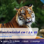 เปิดเลขเด็ดเสือตกถังพลังเงินดี งวด 1 ส.ค. 69 ส่องเลขเด่น 5 พร้อมชุดเลข 2 ตัวและ 3 ตัว