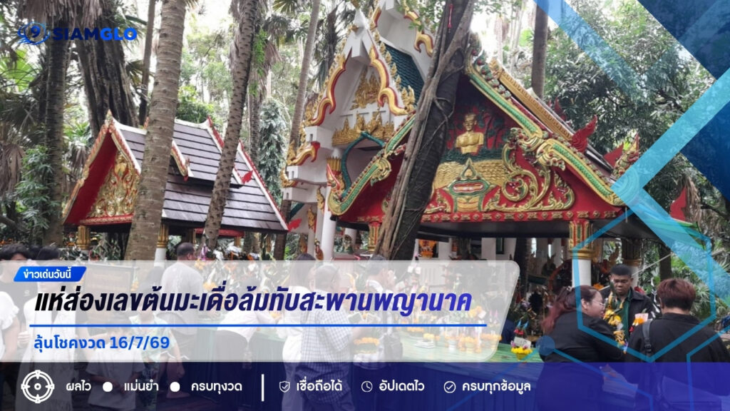 คอหวยแห่ส่องเลขต้นมะเดื่อล้มทับสะพานพญานาค คำชะโนด ลุ้นโชคงวด 16/7/69