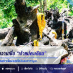 เปิดตำนานความเชื่อ “เจ้าแม่ตะเคียน” ไหว้อย่างไร ใช้ธูปกี่ดอก พร้อมของไหว้และคาถาบูชา