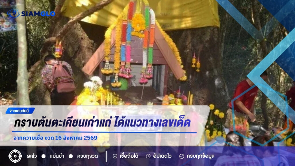 กราบต้นตะเคียนเก่าแก่ ได้แนวทางเลขเด็ดจากความเชื่อ งวด 16 สิงหาคม 2569