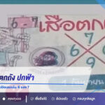 เลขเด็ดเสือตกถัง ปกฟ้า งวด 1 กันยายน 2569 เปิดเลขเด่น 6 รอง 7