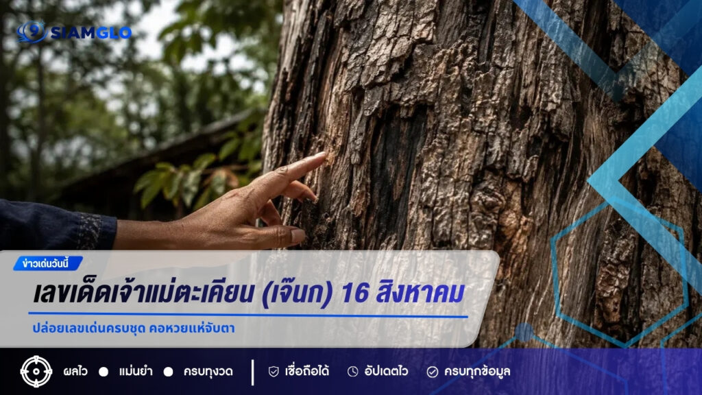 เลขเด็ดเจ้าแม่ตะเคียน (เจ๊นก) งวด 16 สิงหาคม 2569 ปล่อยเลขเด่นครบชุด คอหวยแห่จับตา