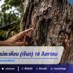 เลขเด็ดเจ้าแม่ตะเคียน (เจ๊นก) งวด 16 สิงหาคม 2569 ปล่อยเลขเด่นครบชุด คอหวยแห่จับตา