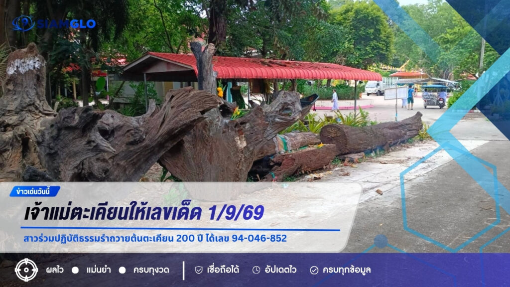 เจ้าแม่ตะเคียนให้เลขเด็ด 1/9/69 สาวร่วมปฏิบัติธรรมรำถวายต้นตะเคียน 200 ปี ได้เลข 94-046-852