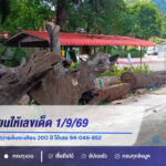 เจ้าแม่ตะเคียนให้เลขเด็ด 1/9/69 สาวร่วมปฏิบัติธรรมรำถวายต้นตะเคียน 200 ปี ได้เลข 94-046-852