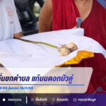 ชาวบ้านเฮลั่นยกตำบล แก้บนดอกบัวคู่ วัดสว่างอารมณ์ ส่องเลขหางประทัด 128-69 ลุ้นงวด 16/9/69