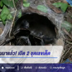 พญาบึ้งกลับมาแล้ว! เปิด 2 ชุดเลขเด็ด 1/9/69 ส่อง 6-1-5 และ 1-2-0