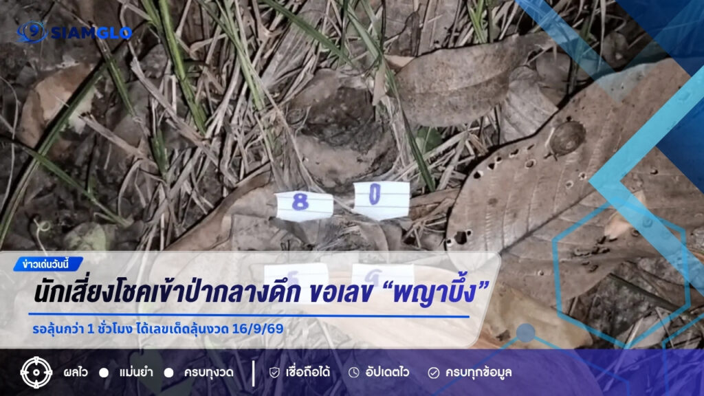 นักเสี่ยงโชคเข้าป่ากลางดึก ขอเลข “พญาบึ้ง” รอลุ้นกว่า 1 ชั่วโมง ได้เลขเด็ดลุ้นงวด 16/9/69
