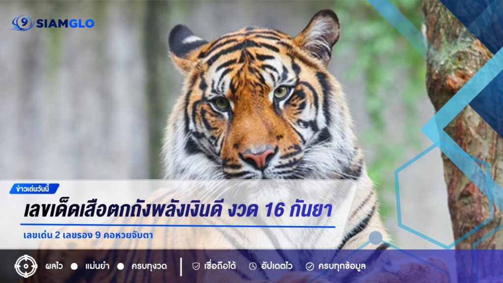 เลขเด็ดเสือตกถังพลังเงินดี งวด 16 กันยายน 2569 เลขเด่น 2 เลขรอง 9 คอหวยจับตา