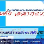 สลาก 5 ภาค งวดวันที่ 1 พฤศจิกายน 2569 เปิดกระแสเลขเด็ด เลขดัง เช็กก่อนเลือกเลข