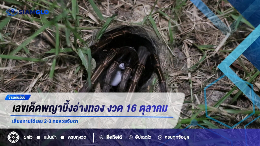 เลขเด็ดพญาบึ้งอ่างทอง งวด 16 ตุลาคม 2569 เสี่ยงทายได้เลข 2-3 คอหวยจับตา
