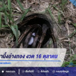 เลขเด็ดพญาบึ้งอ่างทอง งวด 16 ตุลาคม 2569 เสี่ยงทายได้เลข 2-3 คอหวยจับตา
