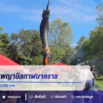 ส่องเลขเด็ดพญานิลกาฬนาคราช วัดป่าหนองชาด ยอดเงินปากนาค 1,810,281 บาท