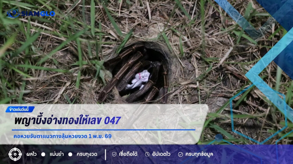 พญาบึ้งอ่างทองให้เลข 047 คอหวยจับตาแนวทางลุ้นหวยงวด 1 พ.ย. 69