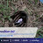 พญาบึ้งอ่างทองให้เลข 047 คอหวยจับตาแนวทางลุ้นหวยงวด 1 พ.ย. 69