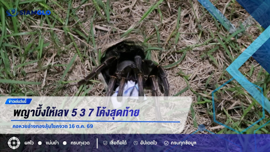 พญาบึ้งให้เลข 5 3 7 โค้งสุดท้ายคอหวยอ่างทองลุ้นโชคงวด 16 ต.ค. 69